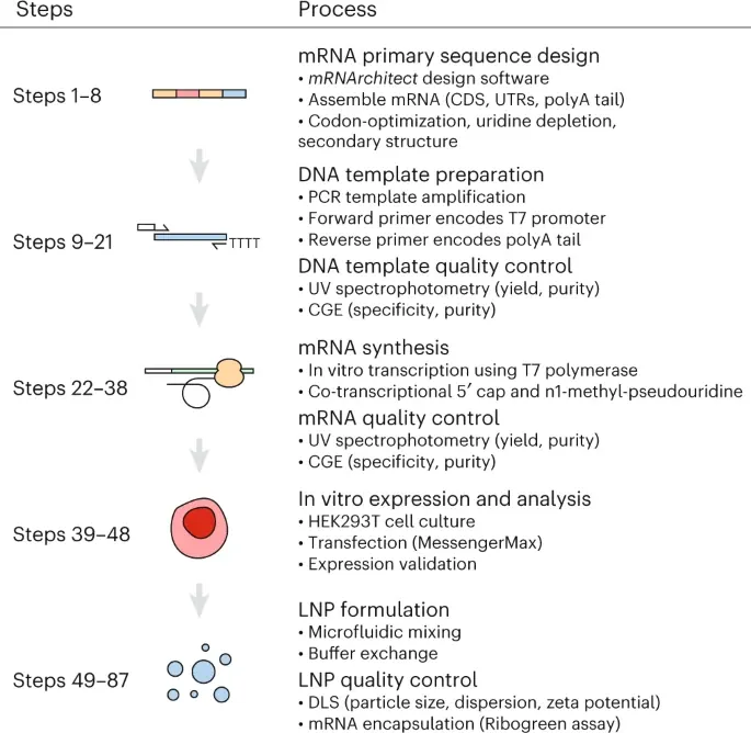 Graphical abstract