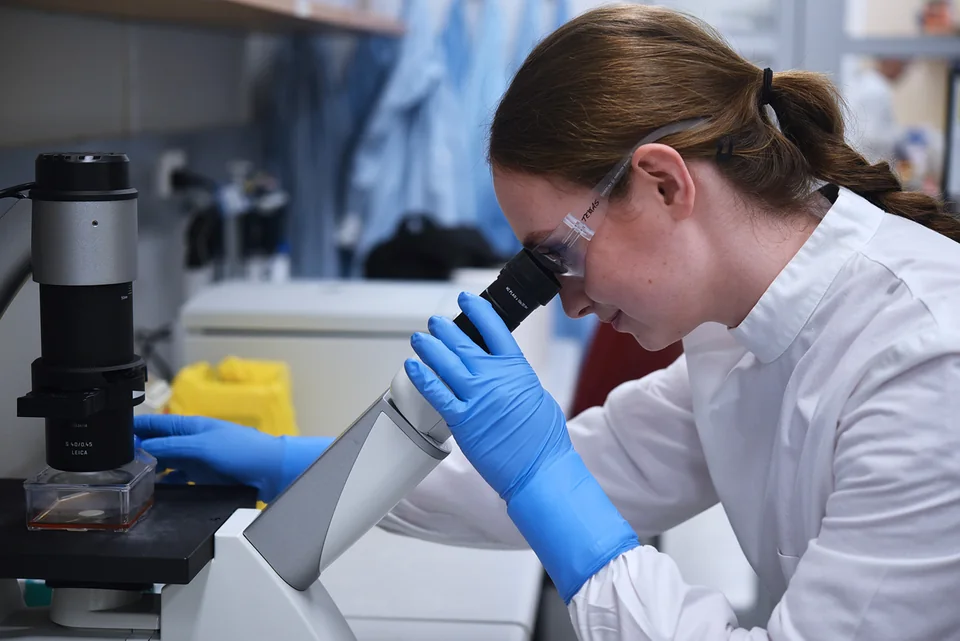 A researcher examining a cell culture flask under a microscope in the cancer vaccine laboratory