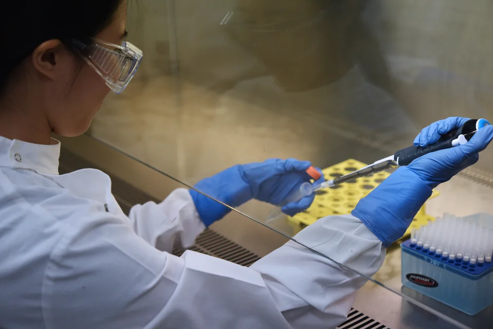 A researcher pipetting samples inside a biosafety cabinet during mRNA vaccine preparation